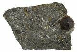 Red Embers Garnet in Graphite - Massachusetts #313418-1